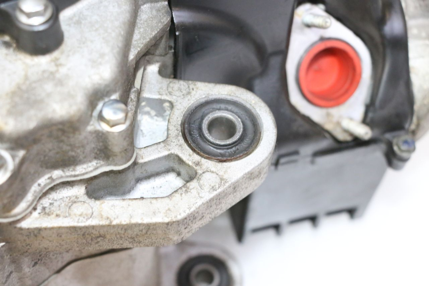 photo de MOTORE PEUGEOT TWEET PRO EFI 4T 50 (2021 - 2022)