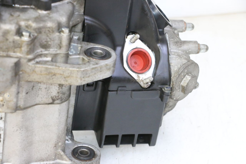 photo de MOTORE PEUGEOT TWEET PRO EFI 4T 50 (2021 - 2022)