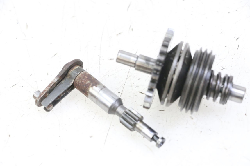 photo de VALVOLE SCARICO MOTORE HONDA MTX TC02 125 (1987 - 1989)