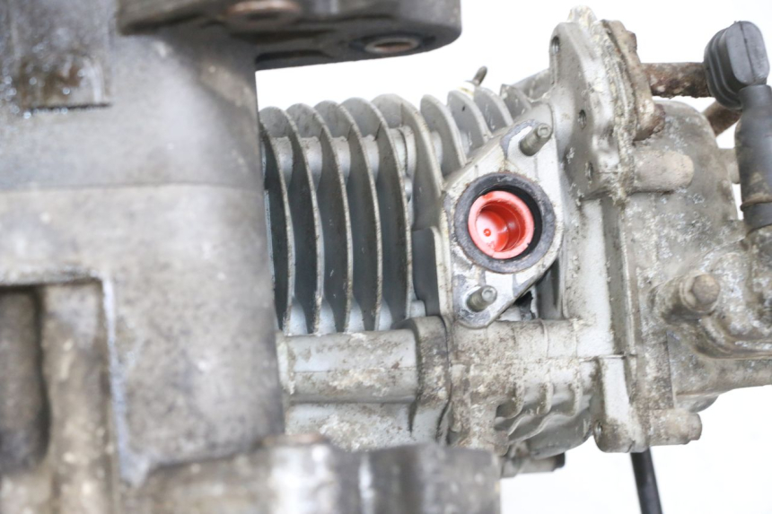 photo de MOTORE BEELINE VELOCE 4T 50 (2011 - 2020)