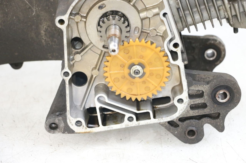 photo de MOTORE BEELINE VELOCE 4T 50 (2011 - 2020)