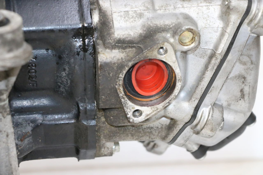 photo de MOTORE PIAGGIO VESPA GTS SUPER IE 125 (2009 - 2016) - Zoom sullo stato d'uso