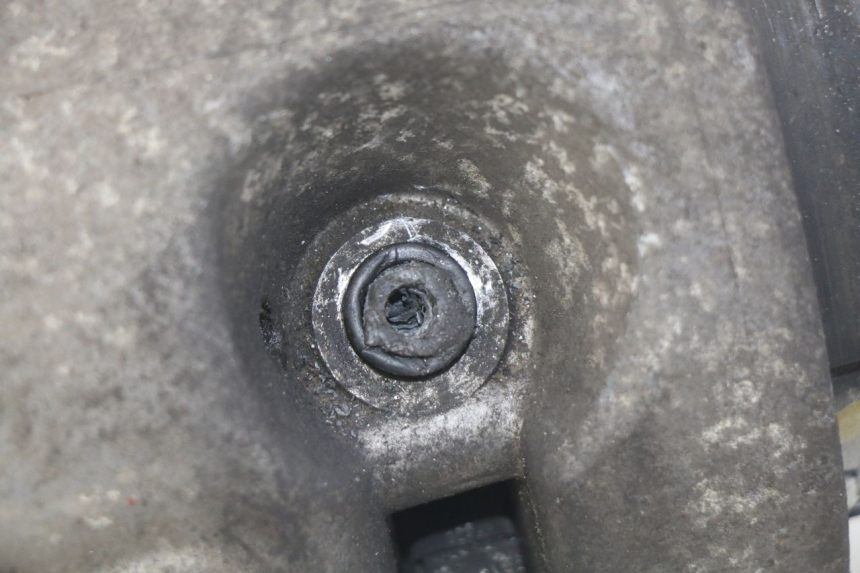 photo de MOTORE PIAGGIO VESPA LX 2T 50 (2005 - 2013)