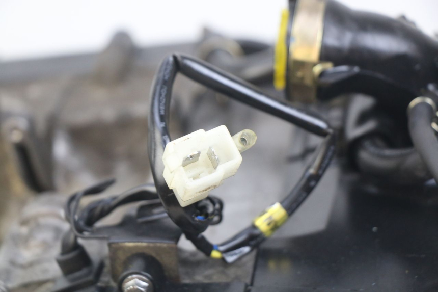 photo de MOTORE PEUGEOT VIVACITY NEW 4T 50 (2008 - 2017)