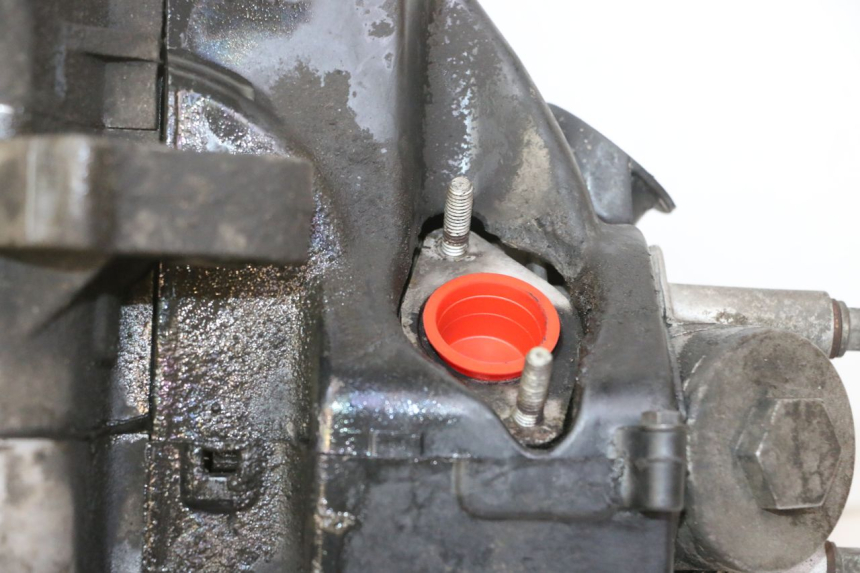 photo de MOTORE PEUGEOT VIVACITY NEW 4T 50 (2008 - 2017)