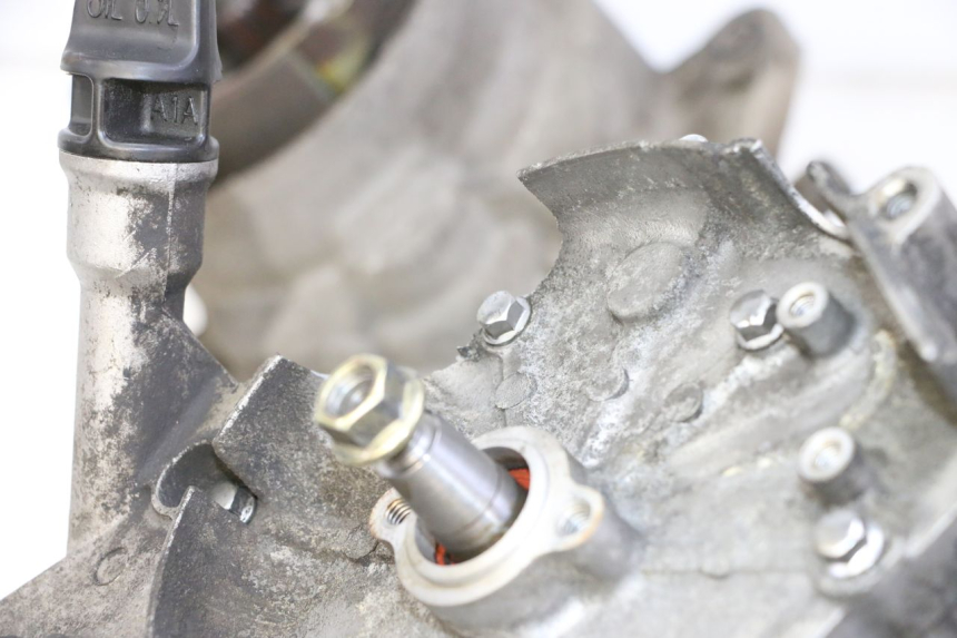 photo de MOTORE PEUGEOT VIVACITY NEW 4T 50 (2008 - 2017)