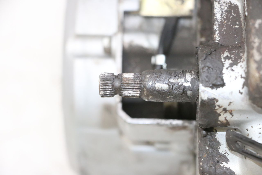 photo de MOTORE DAELIM VJ ROADWIN FI 125 (2008 - 2017) - Ispezione visiva dettagliata