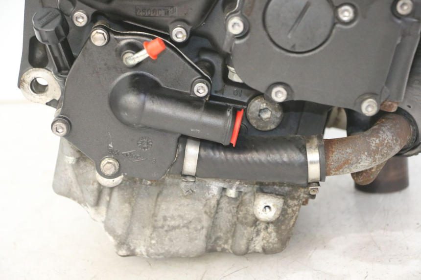 photo de MOTORE YAMAHA XJ6 ABS 600 (2008 - 2016)