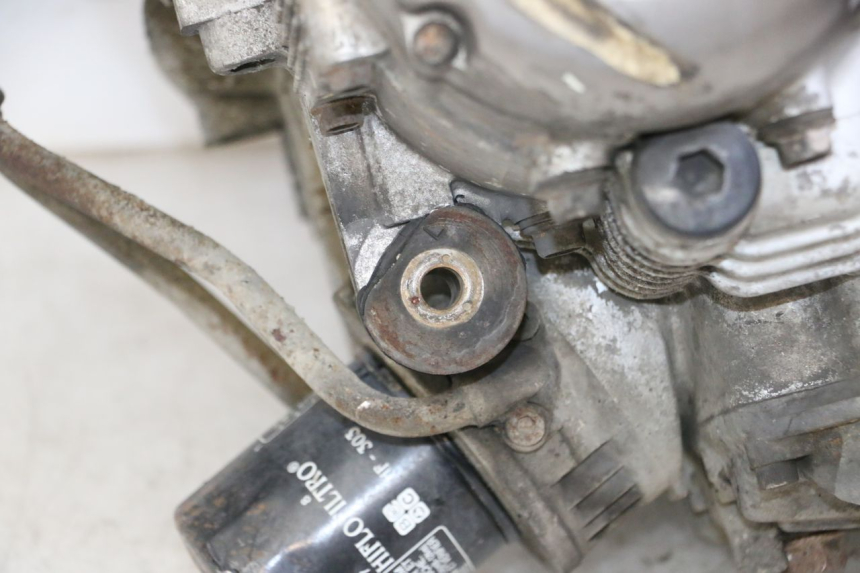 photo de MOTORE YAMAHA XJN DIVERSION 600 (2000 - 2003)