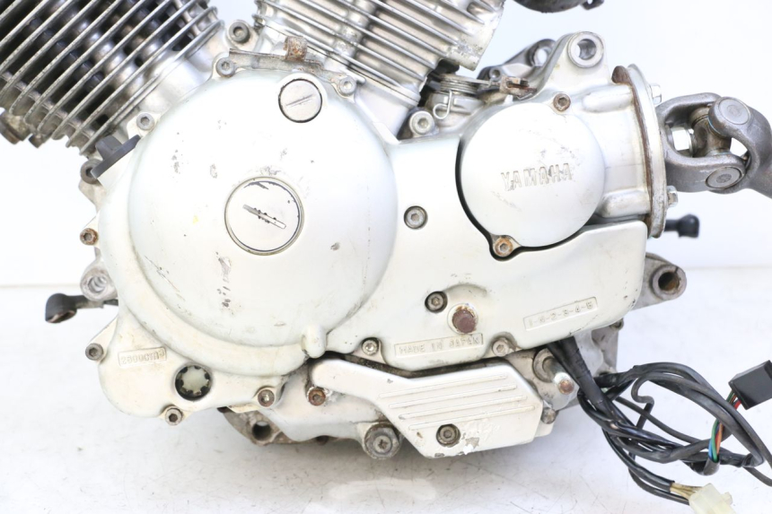 photo de MOTORE YAMAHA XV VIRAGO 535 (1988 - 2004)