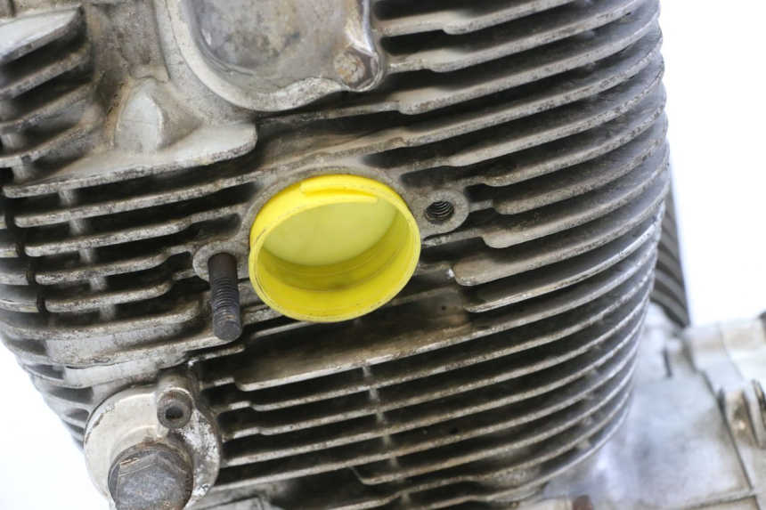 photo de MOTORE YAMAHA XV VIRAGO 535 (1988 - 2004)