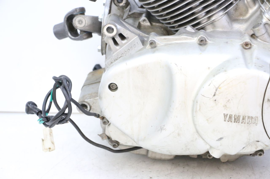 photo de MOTORE YAMAHA XV VIRAGO 535 (1988 - 2004)