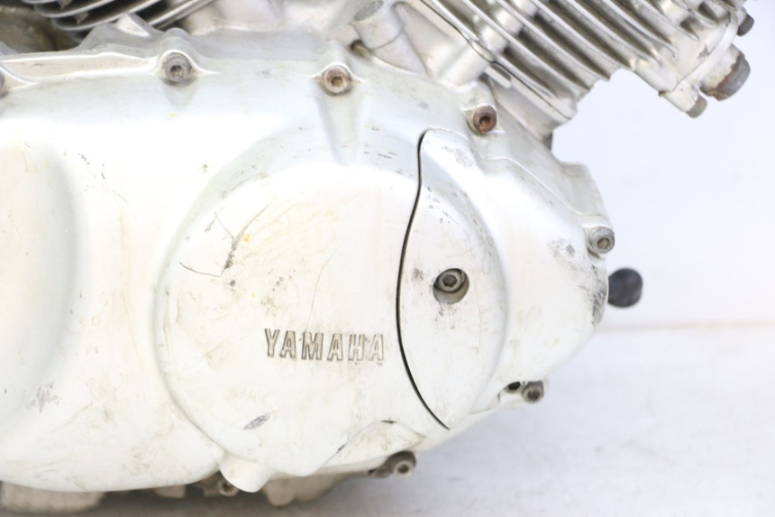 photo de MOTORE YAMAHA XV VIRAGO 535 (1988 - 2004)