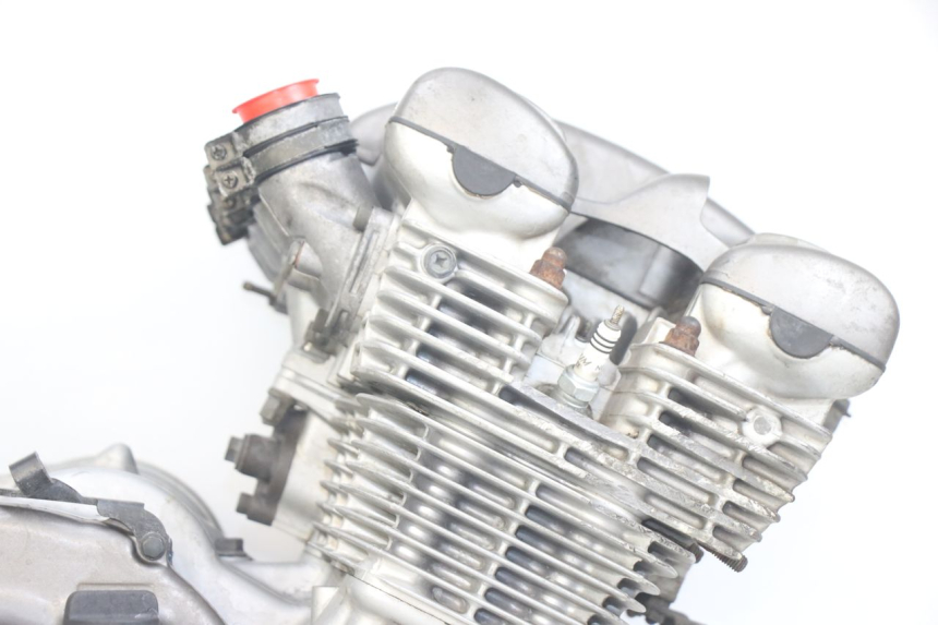 photo de MOTORE YAMAHA XJN DIVERSION 600 (2000 - 2003)