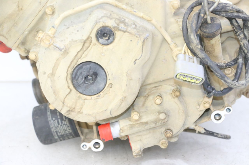 photo de MOTORE YAMAHA YFM GRIZZLY 550 (2008 - 2015)