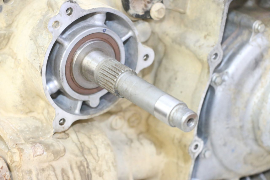 photo de MOTORE YAMAHA YFM GRIZZLY 550 (2008 - 2015)