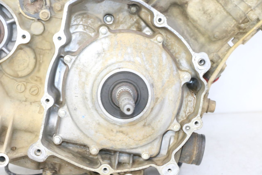 photo de MOTORE YAMAHA YFM GRIZZLY 550 (2008 - 2015)