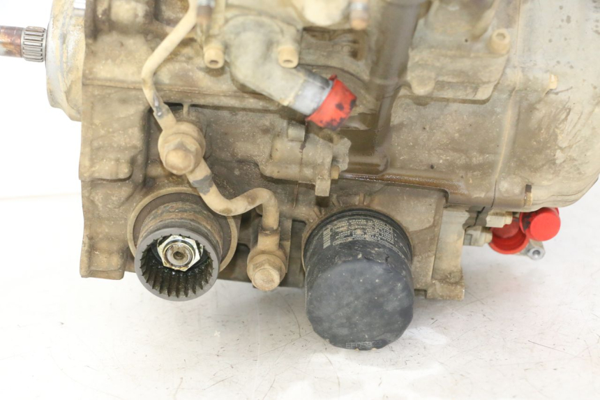 photo de MOTORE YAMAHA YFM GRIZZLY 550 (2008 - 2015)