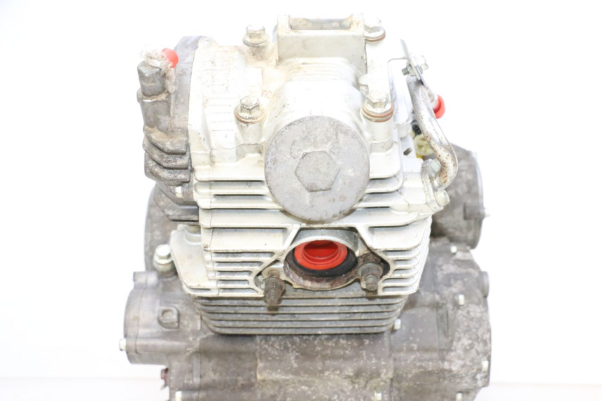 photo de MOTORE YAMAHA YFM R RAPTOR 250 (2008 - 2014) - Primo piano ad alta risoluzione