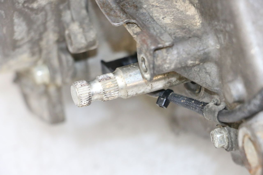 photo de MOTORE YAMAHA YFM R RAPTOR 250 (2008 - 2014) - Vista d'insieme del prodotto