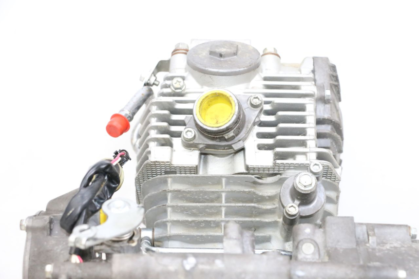 photo de MOTORE YAMAHA YFM R RAPTOR 250 (2008 - 2014) - Stato della superficie e materiale