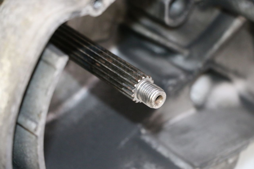 photo de MOTORE YAMAHA YP MAJESTY 125 (2002 - 2006)