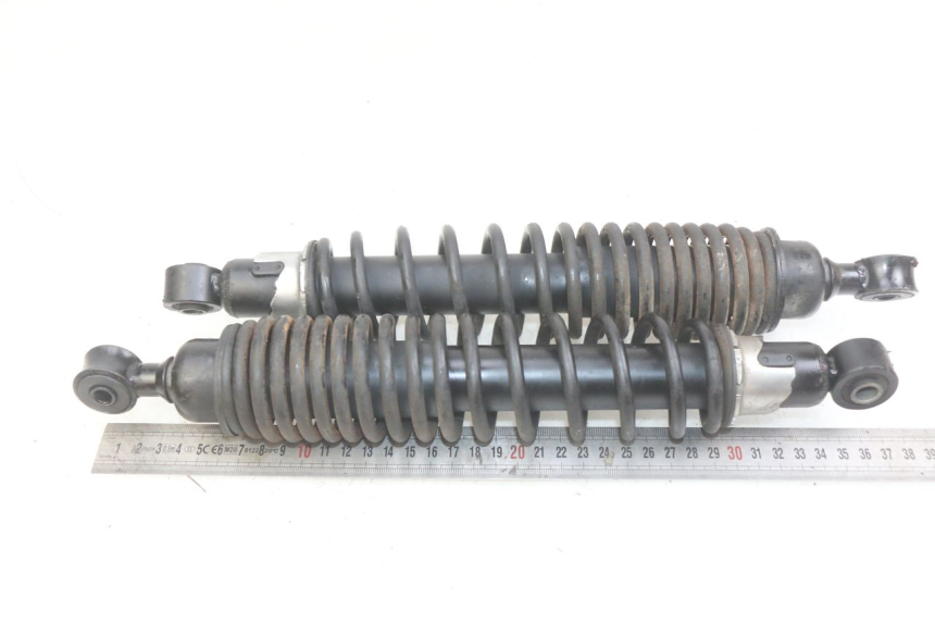 photo de COPPIA AMMORTIZZATORI POSTERIORI APRILIA SCARABEO LIGHT 125 (2007 - 2011)