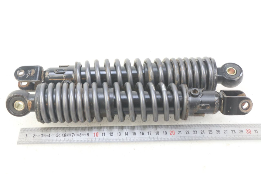 photo de COPPIA AMMORTIZZATORI POSTERIORI ECCITY ARTELEC 670 1 (2013 - 2017)