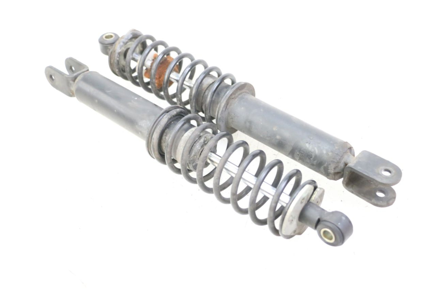 photo de COPPIA BMW C1 125 (2000 - 2003)