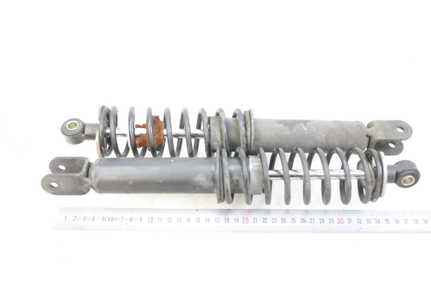 photo de COPPIA BMW C1 125 (2000 - 2003)