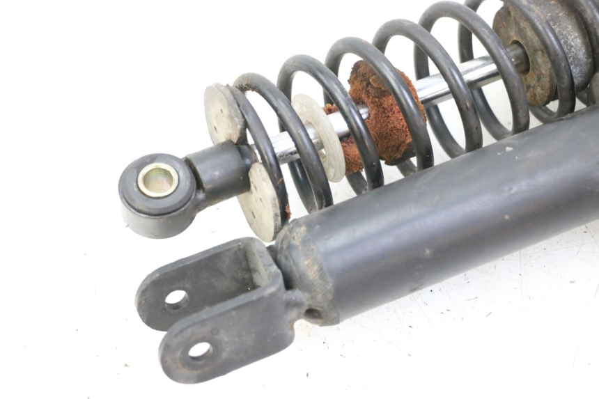 photo de COPPIA BMW C1 125 (2000 - 2003)