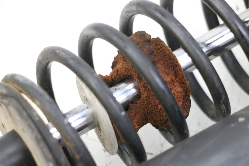 photo de COPPIA BMW C1 125 (2000 - 2003)
