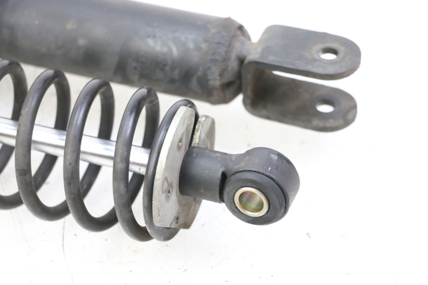 photo de COPPIA BMW C1 125 (2000 - 2003)
