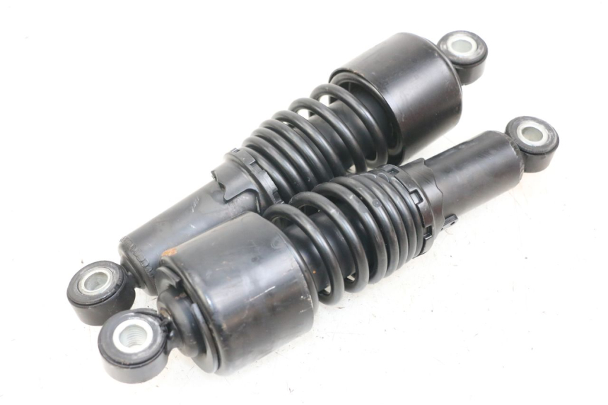 photo de COPPIA HARLEY DAVIDSON SPORTSTER XL CUSTOM 1200 (2003 - 2004)