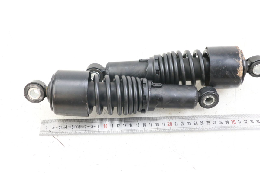 photo de COPPIA HARLEY DAVIDSON SPORTSTER XL CUSTOM 1200 (2003 - 2004)