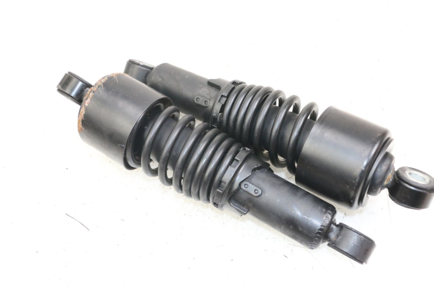 photo de COPPIA HARLEY DAVIDSON SPORTSTER XL CUSTOM 1200 (2003 - 2004)