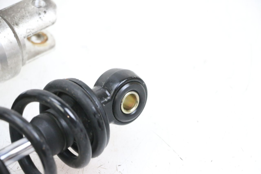 photo de COPPIA EFUN PUSA 1 - Stato della superficie e materiale