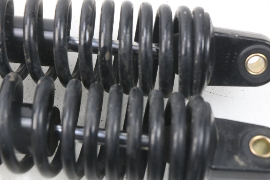 photo de COPPIA AMMORTIZZATORI POSTERIORI RED ELECTRIC RED E PRO 1 (2017 - 2019) - Primo piano tecnico