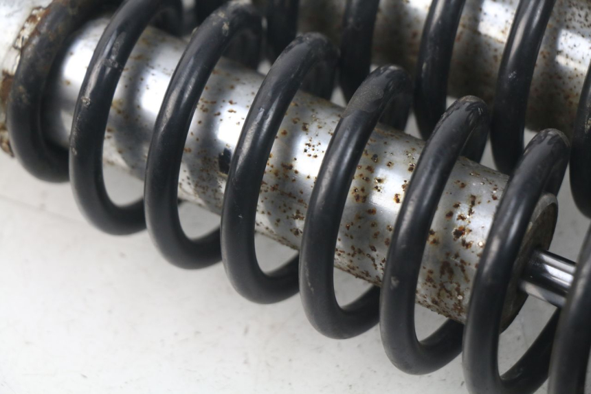 photo de COPPIA AMMORTIZZATORI POSTERIORI DAELIM S3 125 (2010 - 2017)