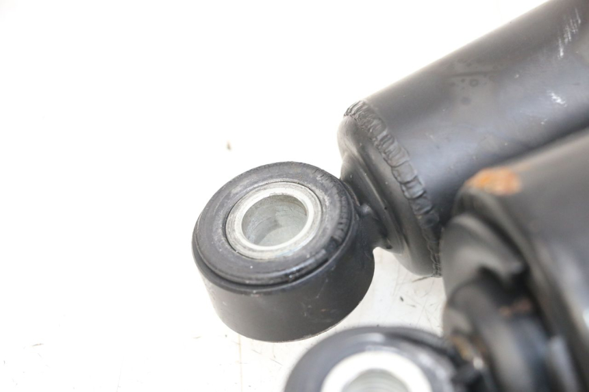 photo de COPPIA HARLEY DAVIDSON SPORTSTER XL CUSTOM 1200 (2003 - 2004)