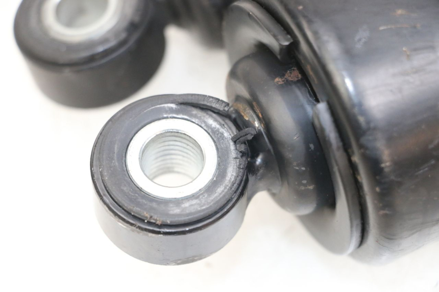 photo de COPPIA HARLEY DAVIDSON SPORTSTER XL CUSTOM 1200 (2003 - 2004)