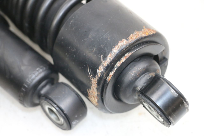 photo de COPPIA HARLEY DAVIDSON SPORTSTER XL CUSTOM 1200 (2003 - 2004)