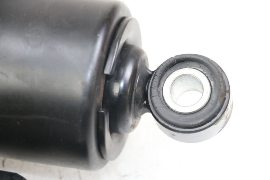 photo de COPPIA HARLEY DAVIDSON SPORTSTER XL CUSTOM 1200 (2003 - 2004)