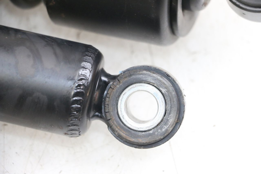 photo de COPPIA HARLEY DAVIDSON SPORTSTER XL CUSTOM 1200 (2003 - 2004)