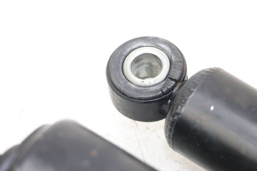 photo de COPPIA HARLEY DAVIDSON SPORTSTER XL CUSTOM 1200 (2003 - 2004)