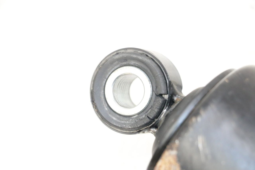 photo de COPPIA HARLEY DAVIDSON SPORTSTER XL CUSTOM 1200 (2003 - 2004)