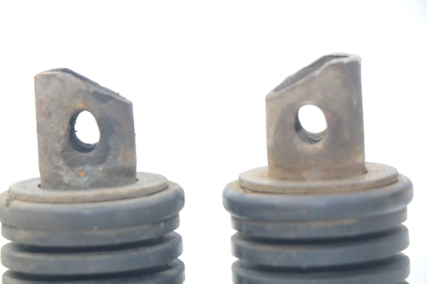 photo de PAIA DI PEDANE POSTERIORI SUZUKI XF FREEWIND 650 (1997 - 2003)