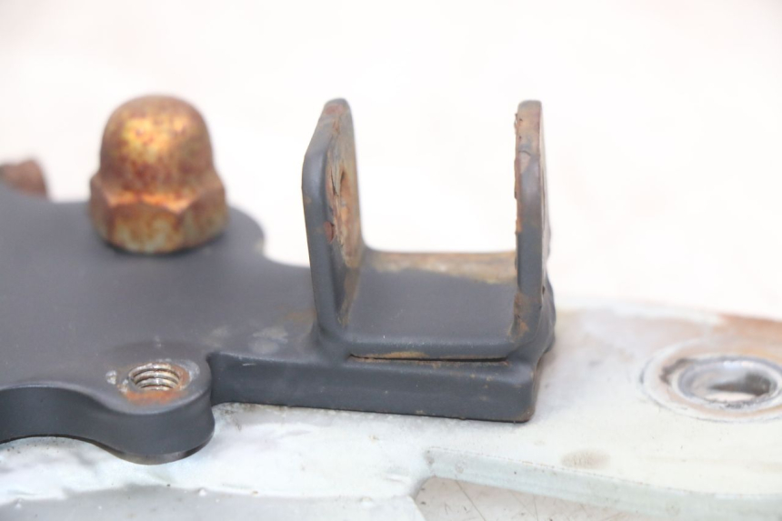 photo de COPPIA DI PIASTRE DI SUPPORTO PEDALE ANTERIORE YAMASAKI RAPTOR 50 (2013 - 2018)