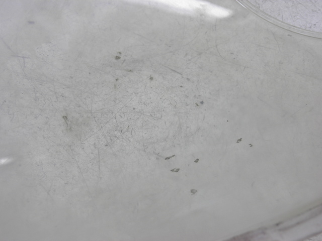 photo de Parabrezza SUZUKI SV S 650 (1999 - 2002)