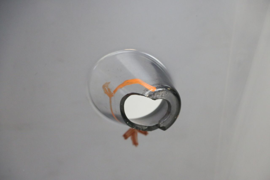 photo de PARE BRISE YAMAHA YP MAJESTY 125 (2002 - 2006) - Dettaglio del componente